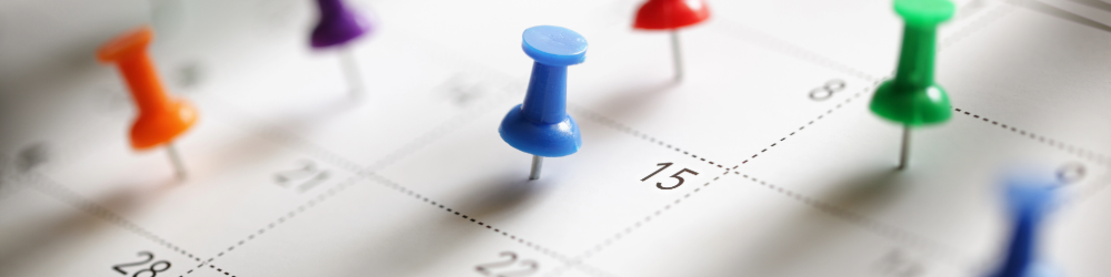 image showing a calencer with multi coloured pins